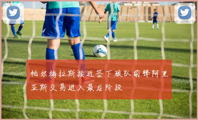 帕尔梅拉斯接近签下狼队前锋阿里亚斯交易进入最后阶段