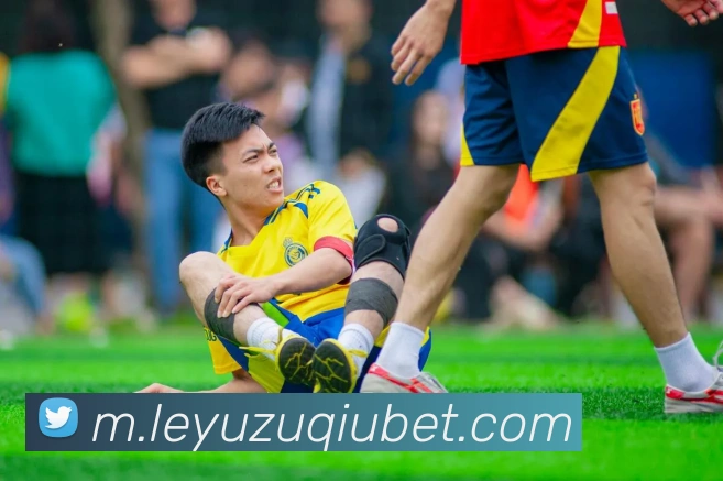 乐鱼体育全站App